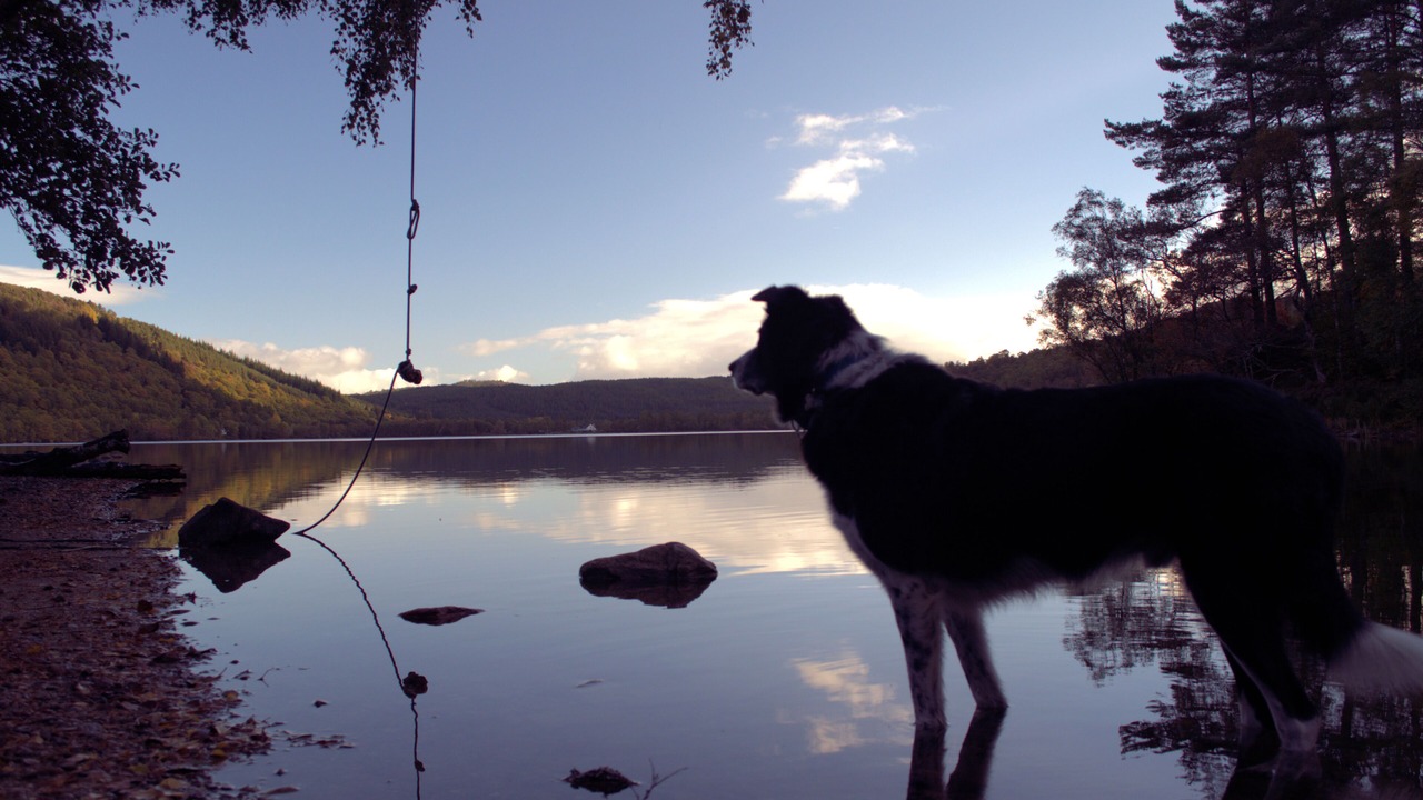 Photo of Others in Gorstan