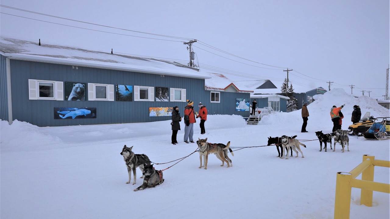 Photo of Outdoor in Churchill