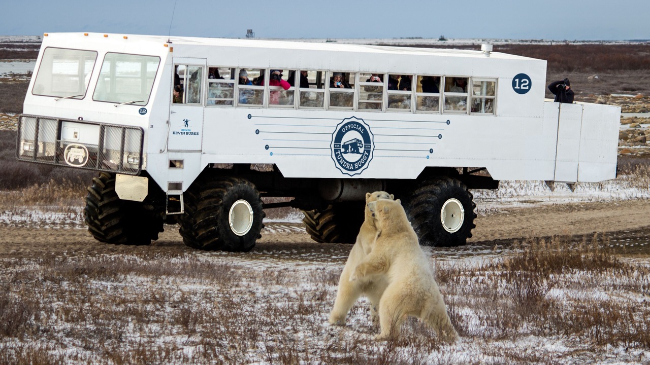 Photo of Others in Churchill