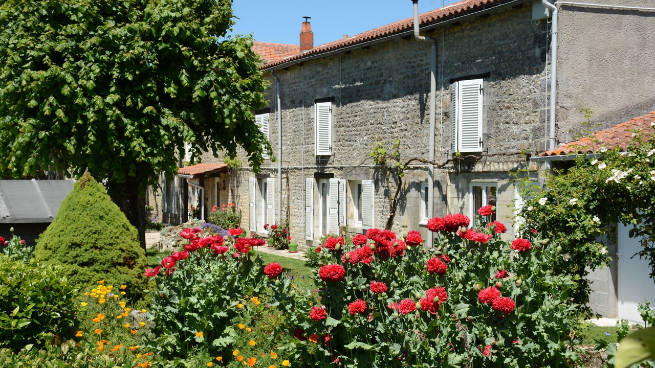 Photo of Outdoor in Aulnay