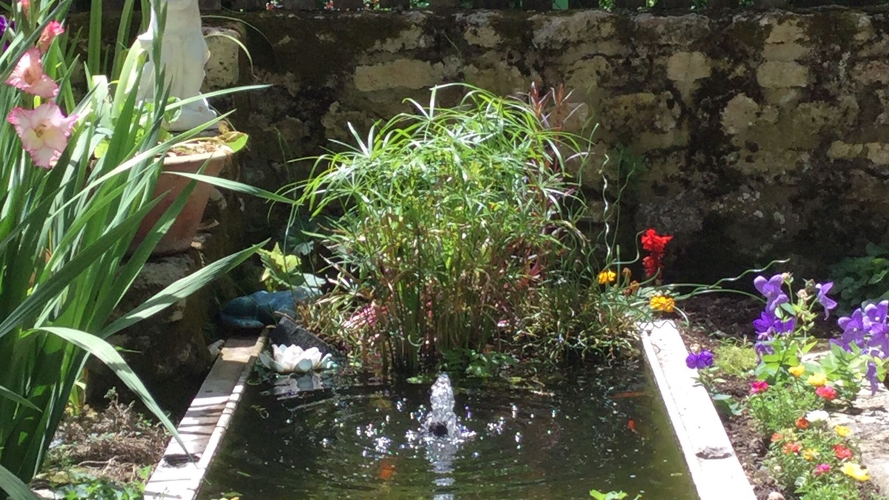 Photo of Outdoor in Aulnay