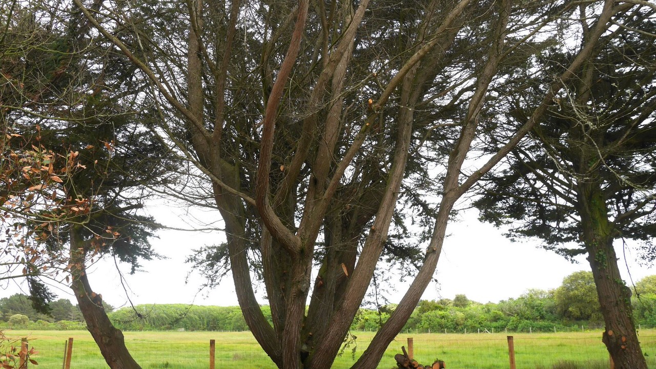 Photo of Outdoor in Le Croisic