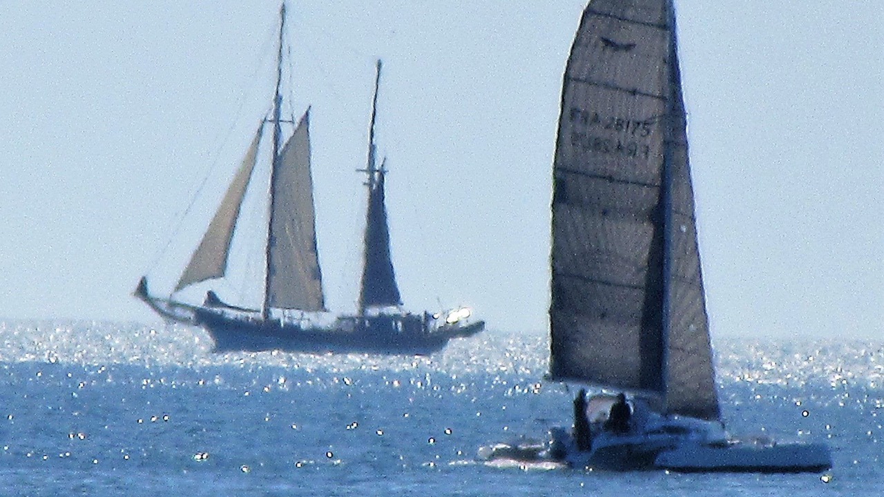 Photo of Others in Le Croisic
