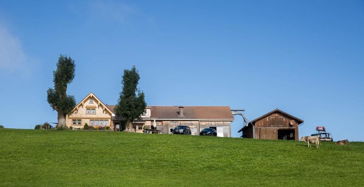 Photo of Outdoor in Schlatt-Haslen