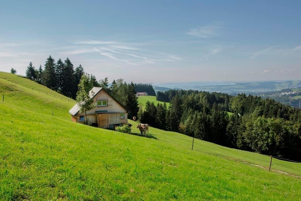 Photo of Outdoor in Schlatt-Haslen