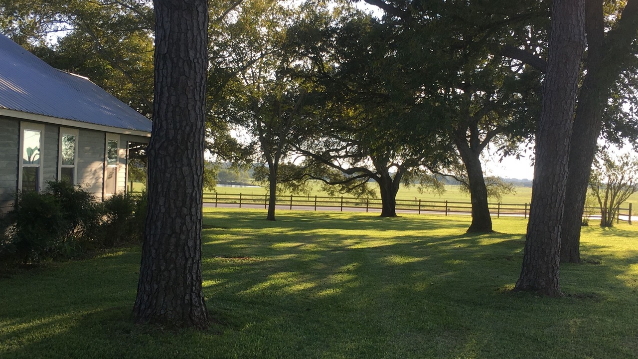 Photo of Outdoor in Prairie Lea