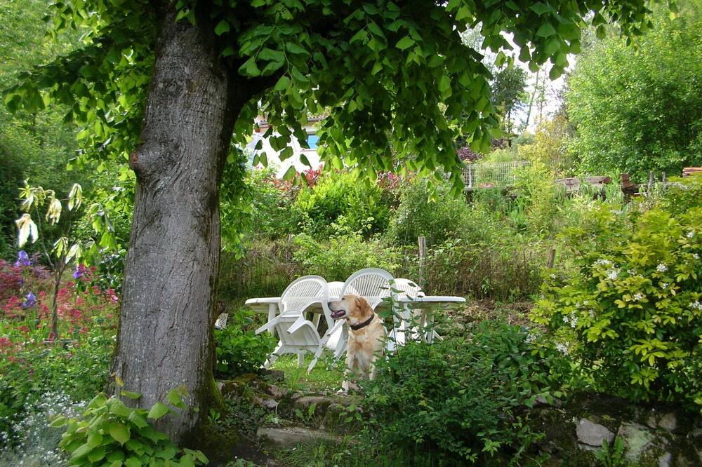 Photo of Outdoor in Saint-Pierre-de-Riviere