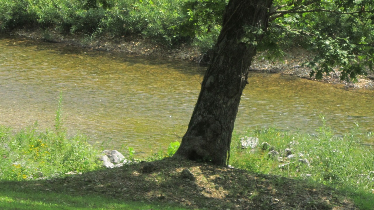 Photo of Outdoor in Salem