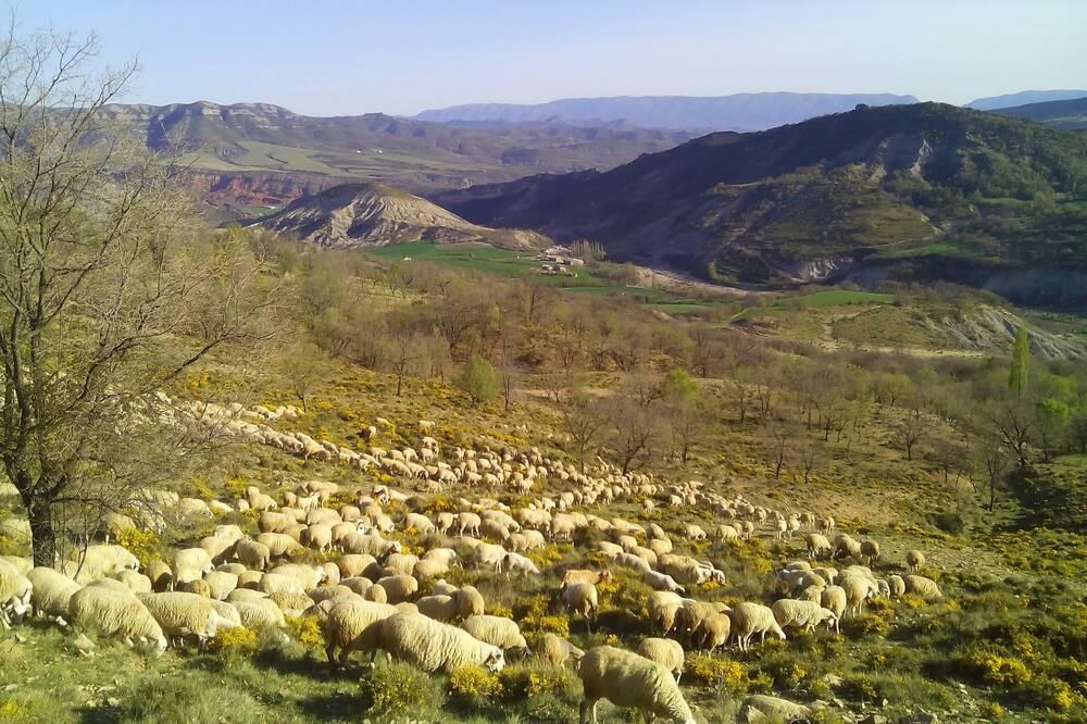 Photo of Others in Sobrecastell