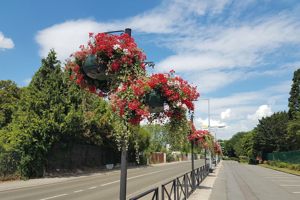 Photo of Others in Persan