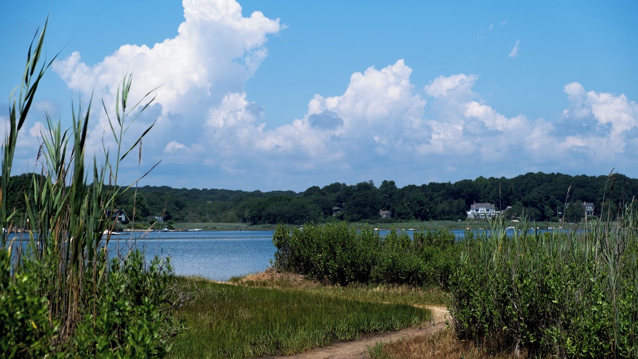 Photo of Others in Haversham