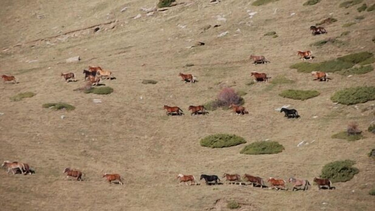 Photo of Others in Llagunes