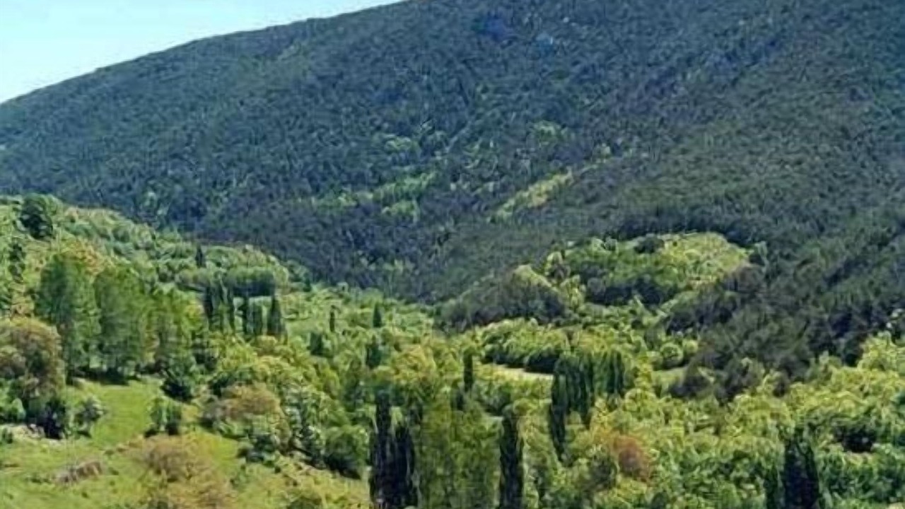 Photo of Outdoor in Llagunes