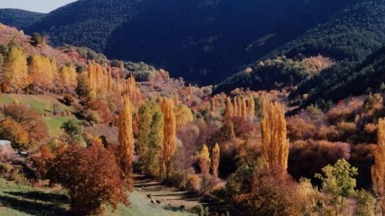Photo of Outdoor in Llagunes