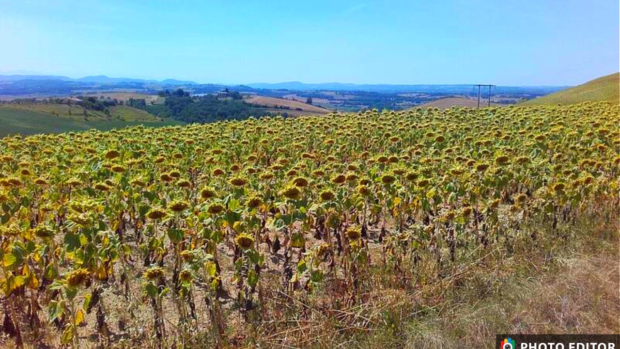 Photo of Outdoor in Montricoux