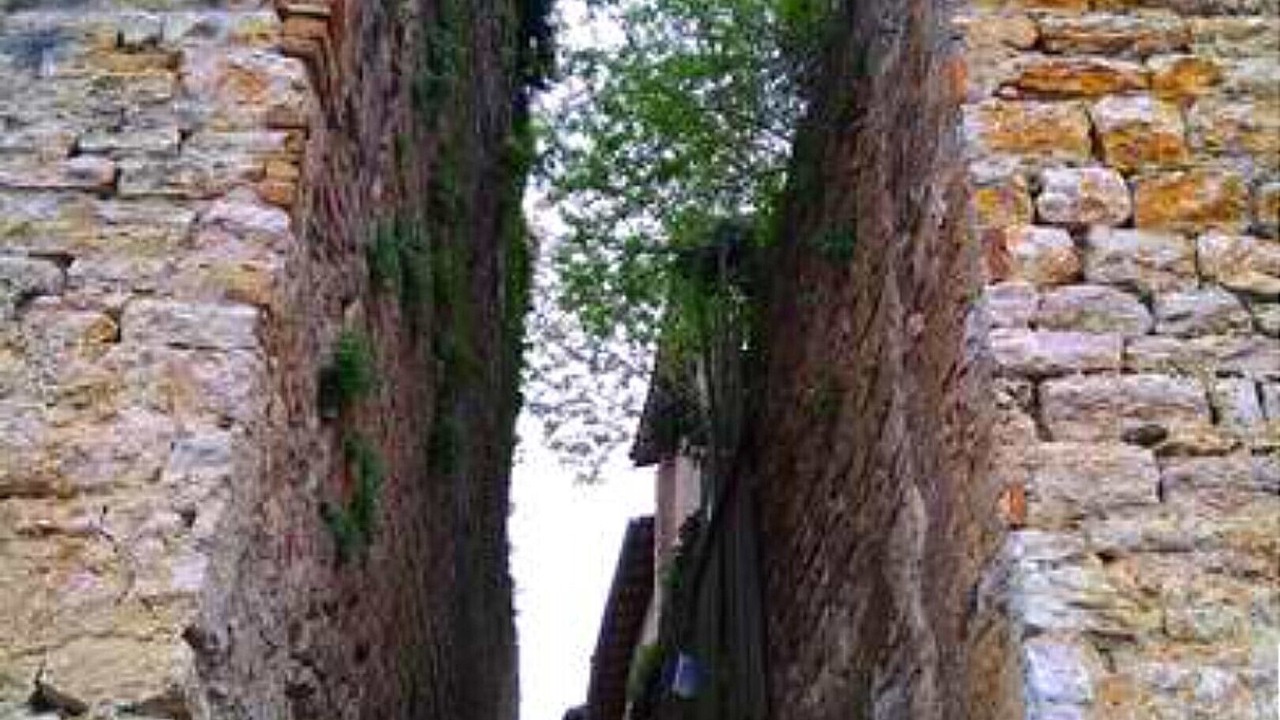 Photo of Outdoor in Montricoux