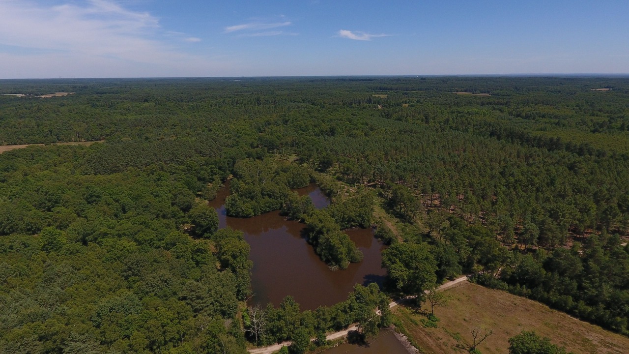 Photo of Outdoor in Brinon-sur-Sauldre