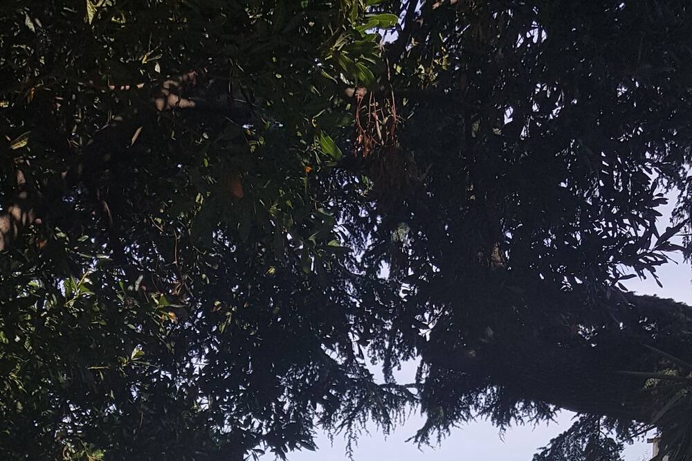 Photo of Outdoor in Tresserre