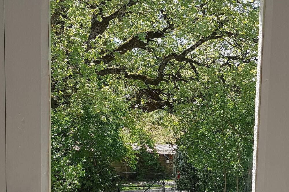 Photo of Outdoor in Lafage