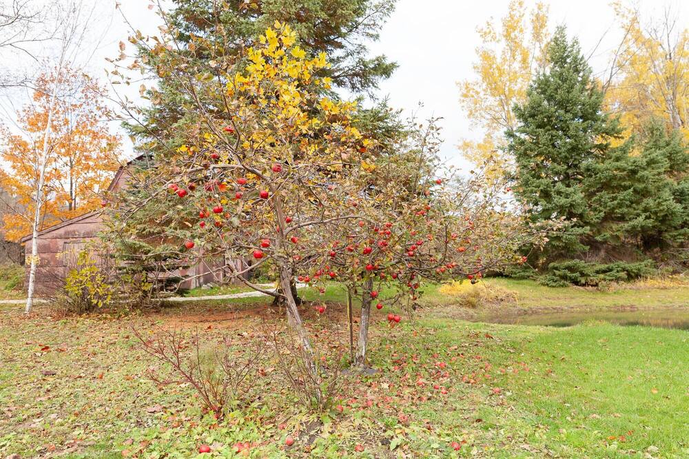 Photo of Outdoor in Glen Huron