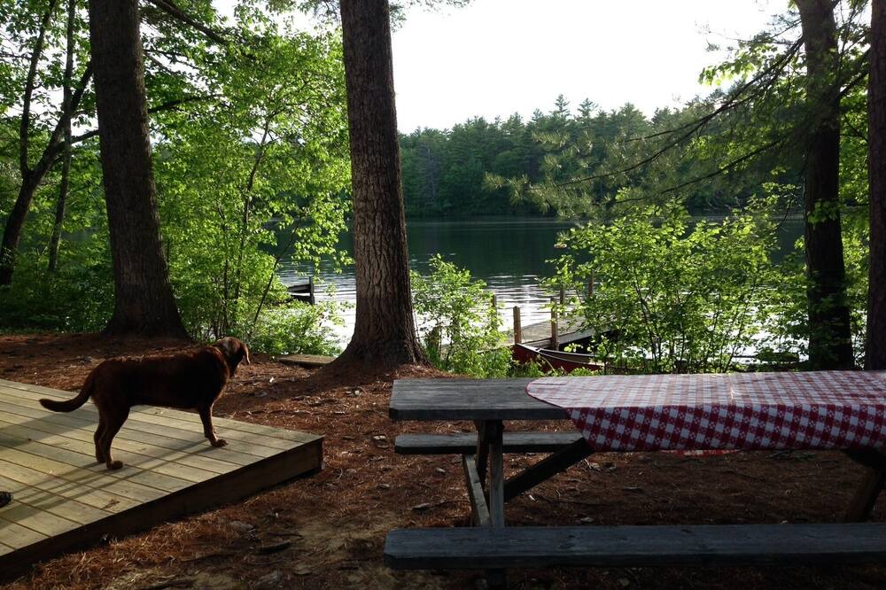 Photo of Outdoor in East Baldwin