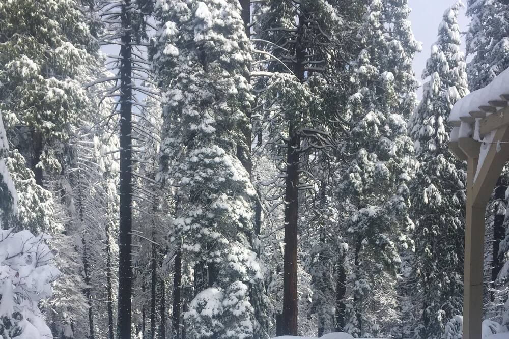 Photo of Others in Pollock Pines