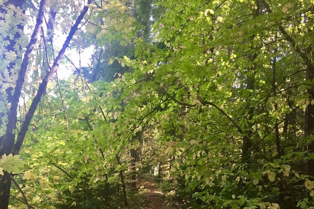 Photo of Others in Pollock Pines