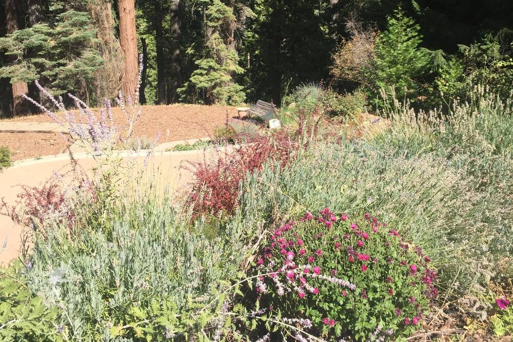 Photo of Others in Pollock Pines