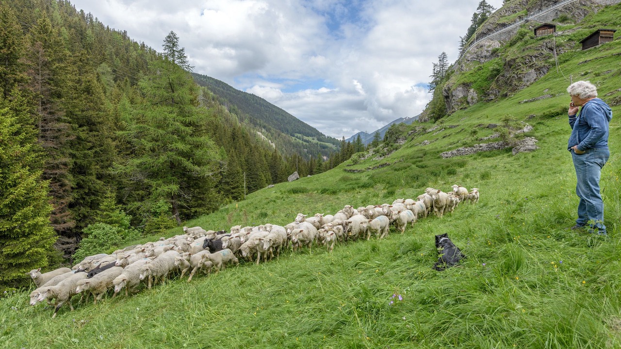 Photo of Outdoor in Bourg-Saint-Pierre