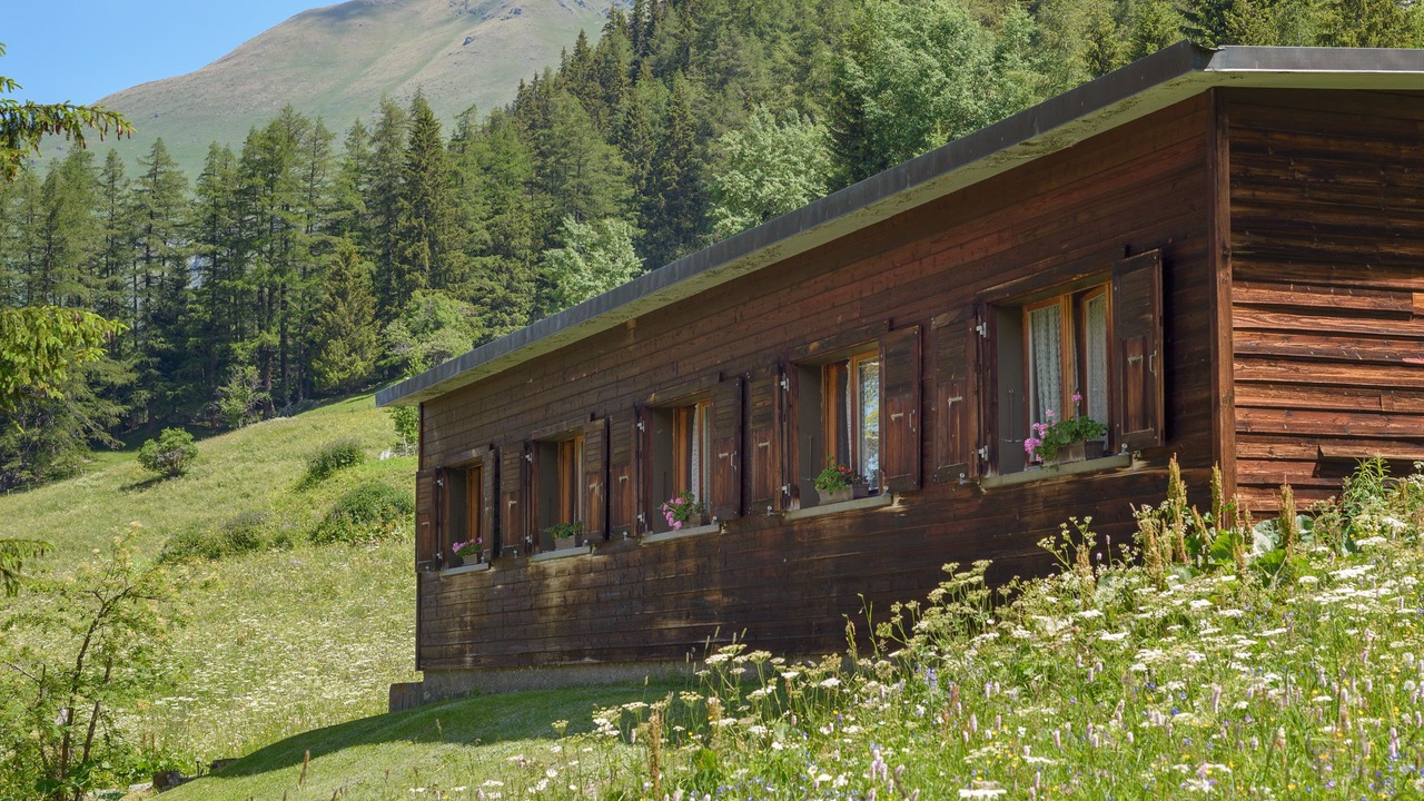 Photo of Outdoor in Bourg-Saint-Pierre