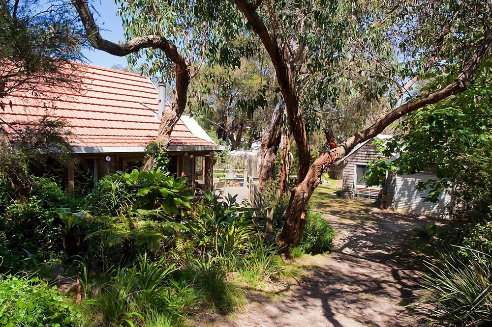 Photo of Outdoor in Moggs Creek