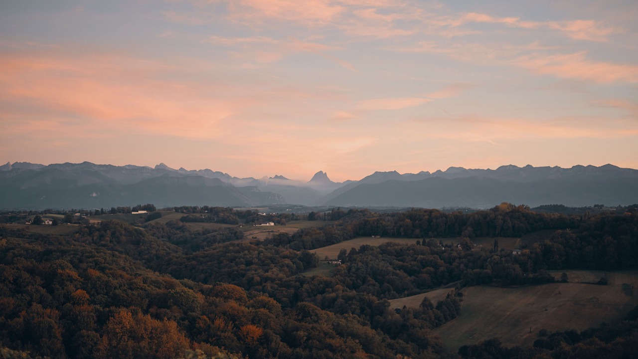 Photo of Others in Jurancon