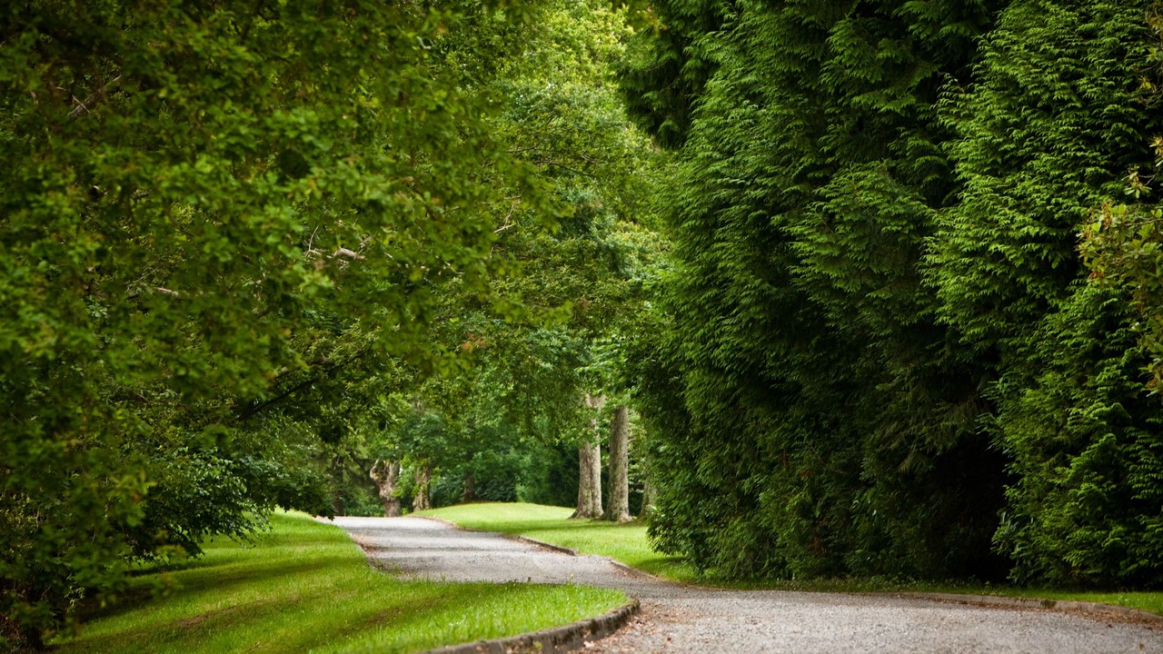 Photo of Outdoor in Jurancon