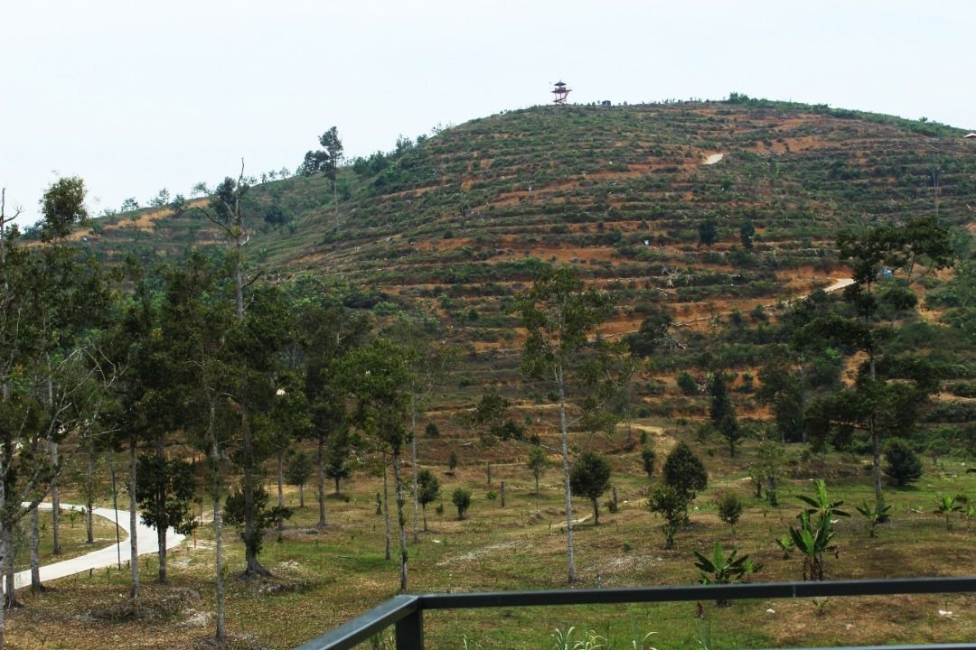 Photo of Outdoor in Karak