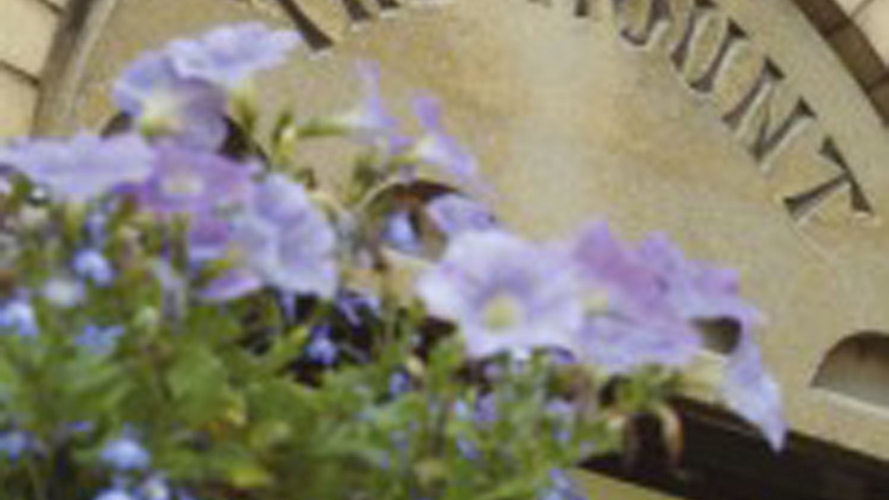 Photo of Outdoor in Ludwel