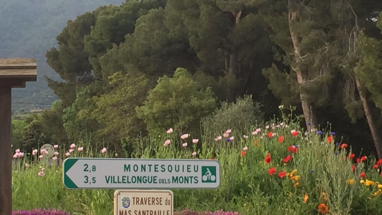Photo of Outdoor in Montesquieu-des-Alberes