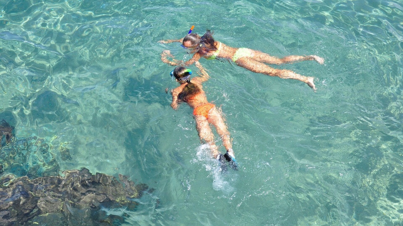 Photo of Outdoor in Montesquieu-des-Alberes