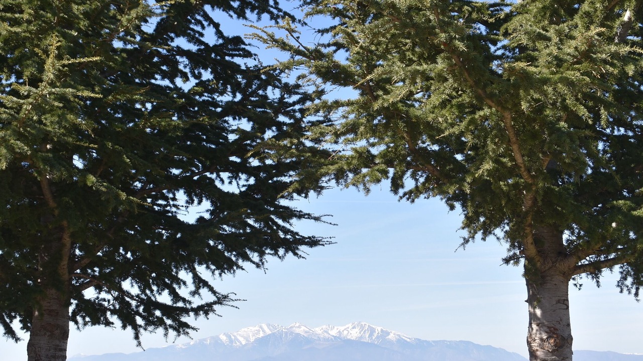 Photo of Others in Montesquieu-des-Alberes