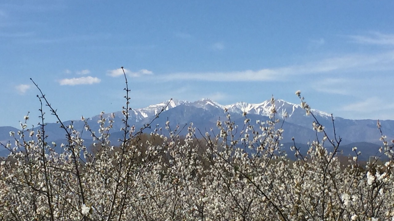 Photo of Outdoor in Montesquieu-des-Alberes