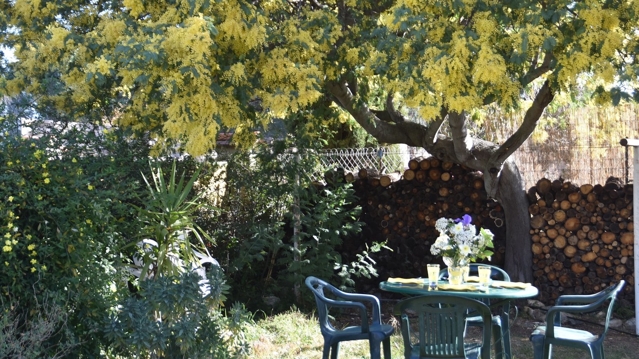 Photo of Outdoor in Montesquieu-des-Alberes