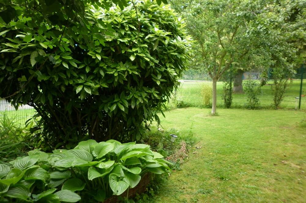 Photo of Outdoor in Chessy