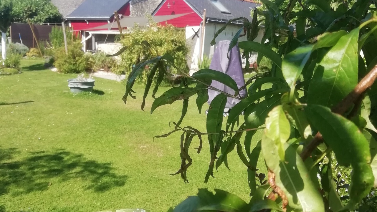 Photo of Outdoor in Vernantes