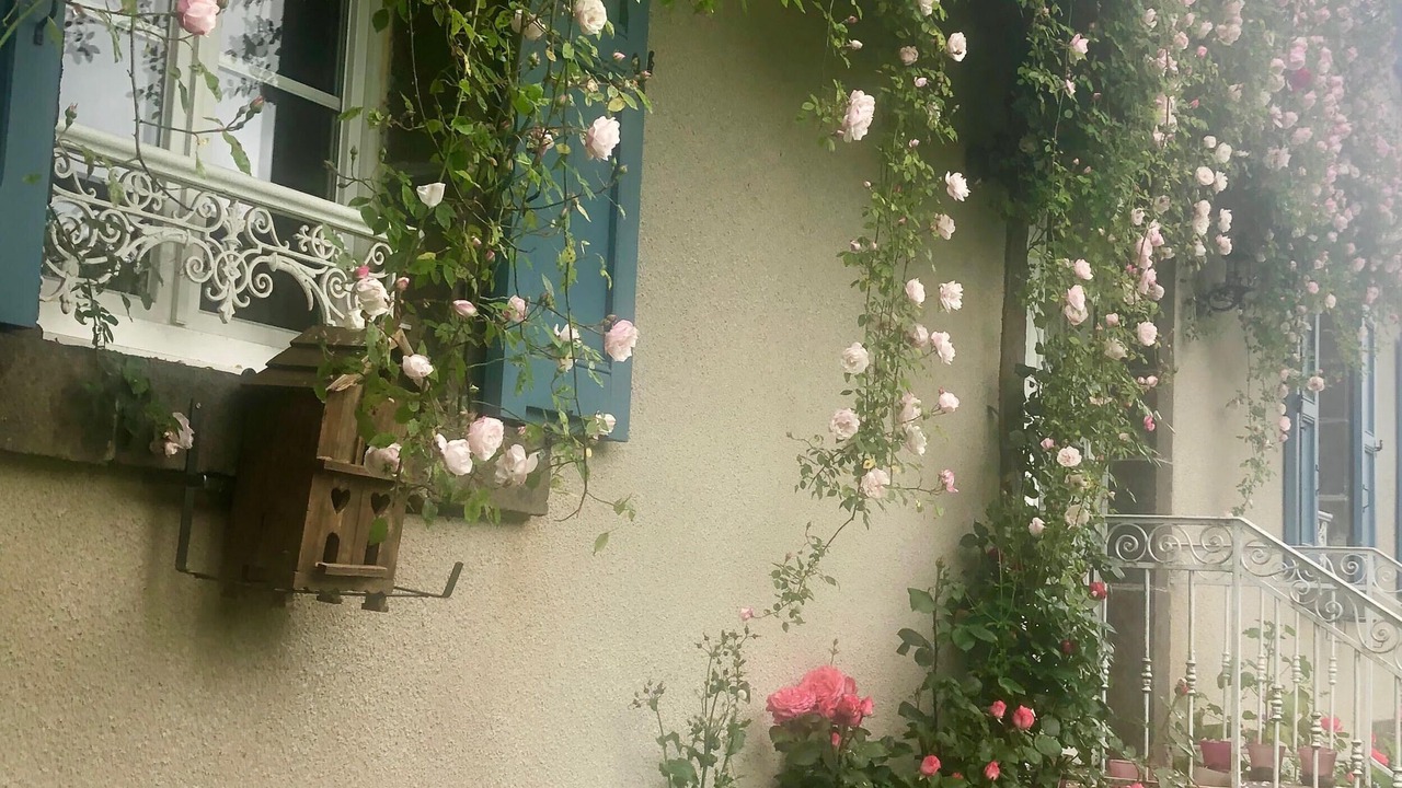 Photo of Outdoor in Thiezac