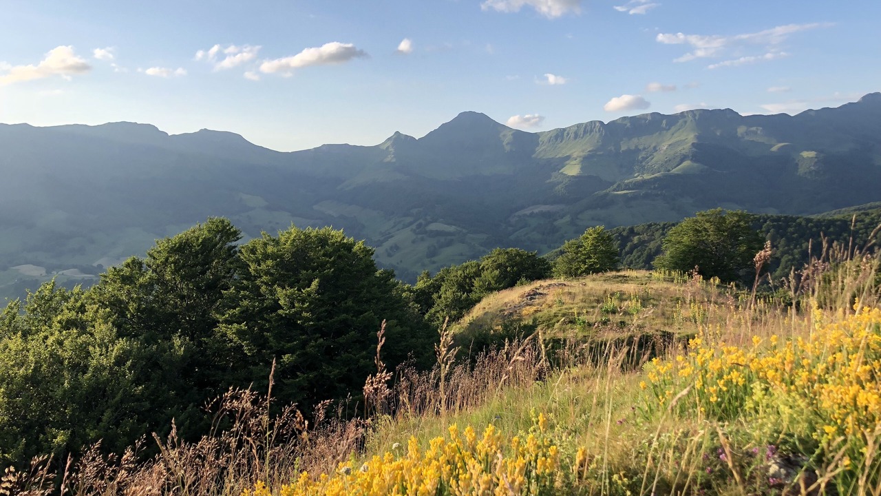 Photo of Outdoor in Thiezac