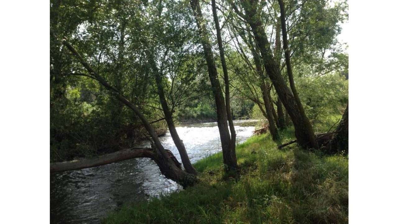 Photo of Outdoor in Sant Miquel de Fluvia
