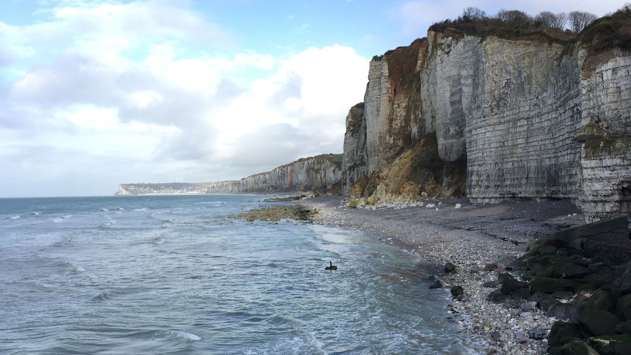 Photo of Others in Bordeaux-Saint-Clair