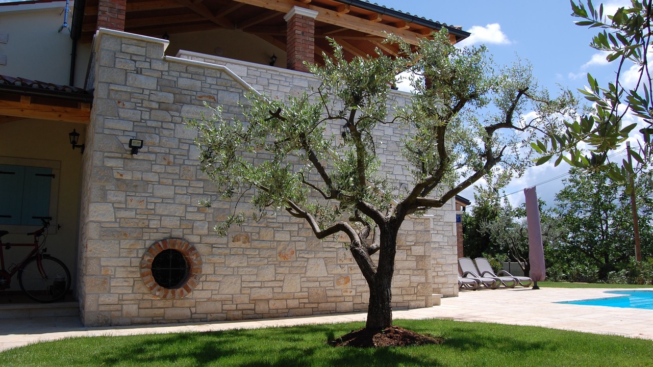 Photo of Outdoor in Vabriga
