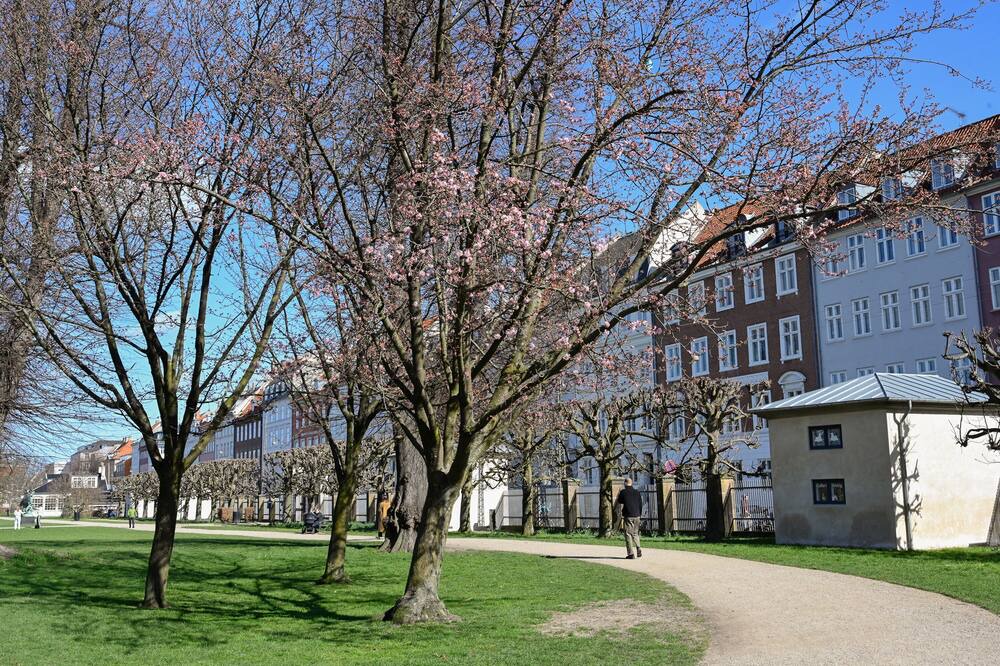 Photo of Outdoor in Copenhagen City Centre