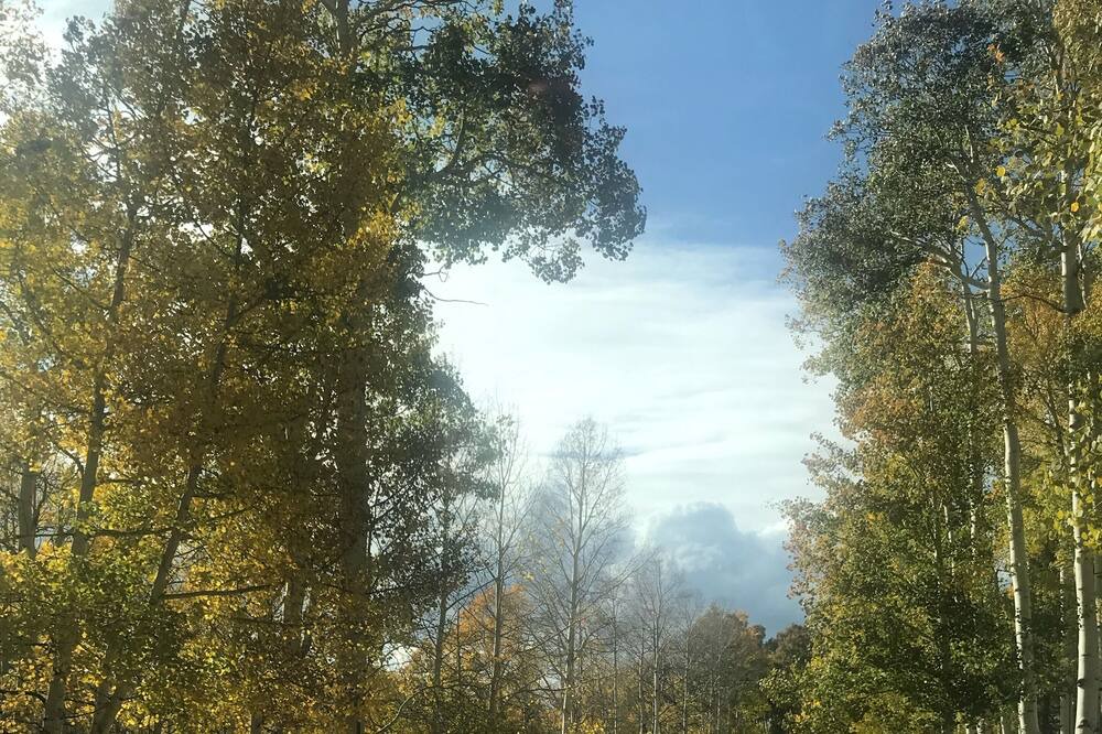 Photo of Outdoor in Cimarron