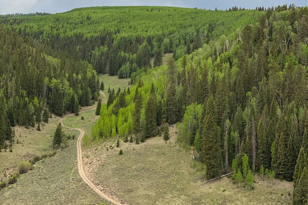 Photo of Outdoor in Cimarron